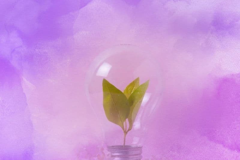 Cellular Light Sensing and Synergistic Energy for Enhanced Vitality